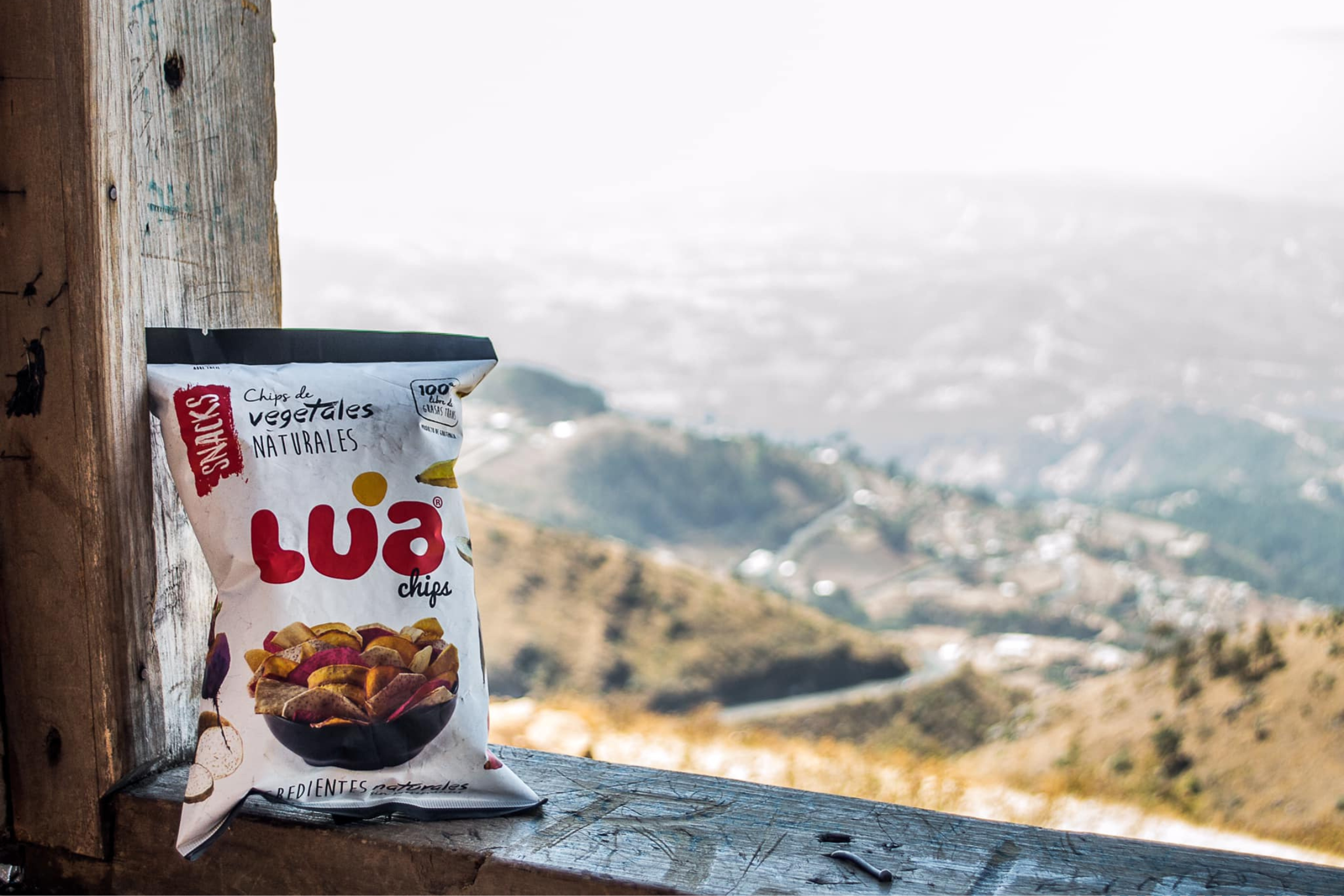 No contiene gluten, leche, huevo, soja, condimentos.